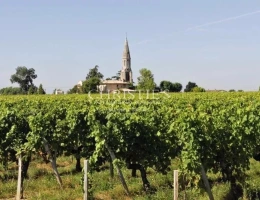 Vignette - Viticole - Opportunité rare : 1,15 ha de vignes en AOC Lalande-de-Pomerol