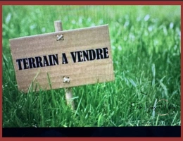 Vignette - Foncière - TERRAIN AGRICOLE DE 42989 m2