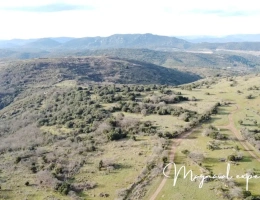 Vignette - Agricole - Vente 150 Hectares avec habitation et bâtiments dans un Parc Naturel Méditerranéen