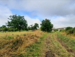 Vignette - Agricole - EXCLUSIF Nord Indre Exploitation caprin