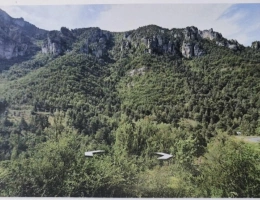 Vignette - Foncière - Terrain
