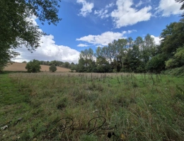 Vignette - Foncière - Terrain à vendre  VILLERS SAINT SEPULCRE (60)