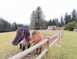 Vignette - Tourist - Farm with outbuildings