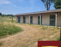 Vignette - Équestre - Vienne (86) - Belle opportunité -10 hectares -
