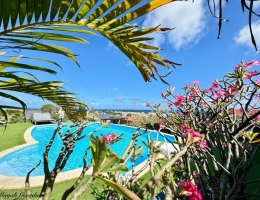 Vignette - Prestige - EN EXCLUSIVITE - A VENDRE - PROPRIETE D'EXCEPTION AVEC VUE MER ET POTENTIEL LOCATIF REMARQUABLE - SAINTE ANNE