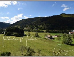 Vignette - Prestige -  Ferme rénovée à vendre à La Bresse (Vosges) – 275 m² habitables avec terrain de 1,67 hectare