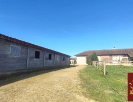 Vignette - Équestre - Habitation et écurie sur 4,1 hectares