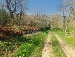 Vignette - Foncière - A VENDRE TERRAIN DE LOISIR A PANCE (35)