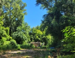 Vignette - Land - Parcelle à vendre de 1 110 m² DIONS (30)