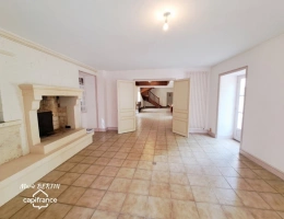 Vignette - Prestige - Propriété à vendre 11 pièces CELLES SUR BELLE (79)