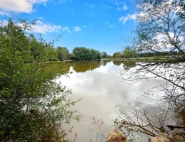 Vignette - Forestière - Propriété