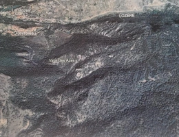 Vignette - Forestière - Terrain