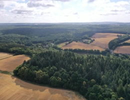 Vignette - Forest - RICHE FUTAIE RÉSINEUSE D’UN SEUL TENANT