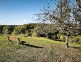 Vignette - Prestigious - Property