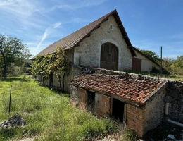 Vignette - Tourist - House