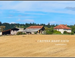 Vignette - Agricole - Propriete à vendre-Maison 7 pièces + bâtiments- 85,61 HECTARES  proche de VIC FEZENSAC (32)