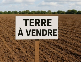 Vignette - Foncière - Terrain à vendre de 9980 m²  NOYAL PONTIVY (56)