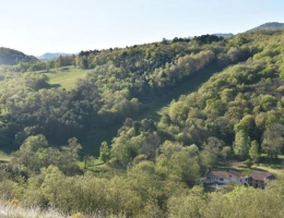 Vignette - Agricultural - Estate