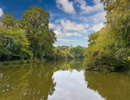Vignette - Forestière - Propriete Gite pour pêcheur à vendre HAMBERS (53)