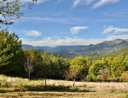 Vignette - Tourist - Dpt Alpes Maritimes (06), for sale ASCROS Stone property 12 rooms 2 houses 7.5 hectares Mountain vie