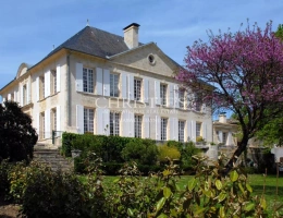 Vignette - Prestige - Élégant château du XIXème siècle près de Saint-Émilion – idéal pour un projet d’œnotourisme