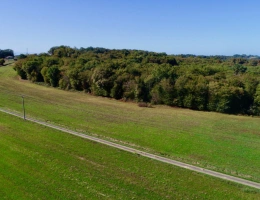 Vignette - Foncière - À VENDRE – Terres agricoles et parcelles boisées – 49 ha – Bassoues/Gers