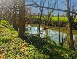Vignette - Foncière - A VENDRE TERRAIN DE LOISIR A PANCE (35)