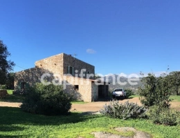 Vignette - Agricole - EXCLUSIVITE : Proche de L'ILE ROUSSE, Plaine du Reginu,  propriété en pierres T5 158 m² sur 1.96 ha de terrain