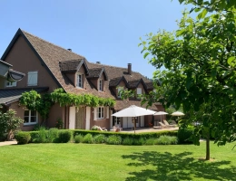 Vignette - Prestigious - Property for sale 11 rooms 6 bedrooms, swimming pool in BITSCHWILLER LES THANN (68)