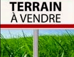 Vignette - Land - Terrain à vendre  MARSEILLAN (34) TERRAIN AGRICOLE