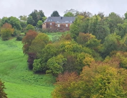 Vignette - Prestigious - Character property