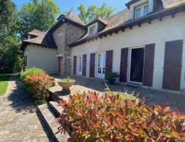 Vignette - Tourist - Character property
