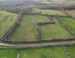 Vignette - Forestière - VENDU Prairie naturelle dans l'INDRE