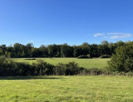 Vignette - Foncière - Propriété mixte agricole et forestière de 18ha