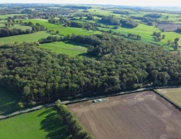 Vignette - Forestière - Futaie de chênes sur 14ha