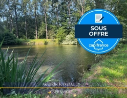 Vignette - Land - Terrain à vendre de 4 468,00 m² LARCHAMP (53)
