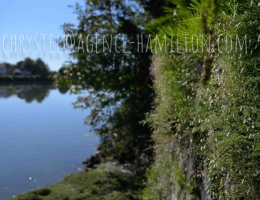 Vignette - Touristique - Maison