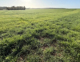 Vignette - Land - Terres agricoles, Produit d'investissement