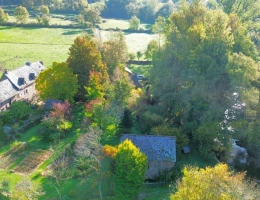 Vignette - Tourist - Estate