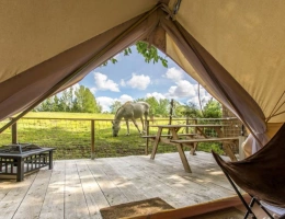 Vignette - Équestre - Gers : quand authenticité, nature et singularité se rencontrent…