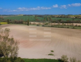 Vignette - Land - Agricultural land