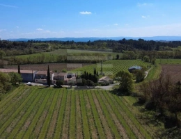 Vignette - Viticole - Propriété viticole