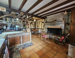 Vignette - Touristique - Propriété de caractère, 2 maisons, piscine, 1,4ha