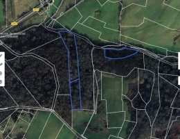 Vignette - Forestière - A vendre BOIS 16281 m2  SALIES DE BEARN (64)