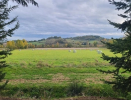 Vignette - Prestigious - Farming property