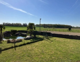Vignette - Equestrian - Vivre avec ses chevaux aux portes de Lyon