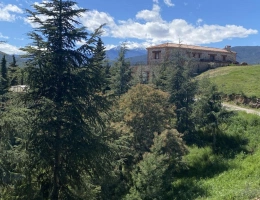 Vignette - Prestigious - Property