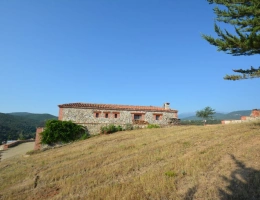 Vignette - Prestigious - Estate