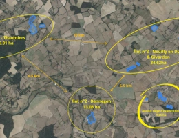 Vignette - Foncière - Terres agricoles à vendre dans le Cher   82 ha libres en exc