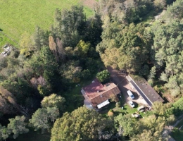 Vignette - Forestière - Terrain boisé – forêt